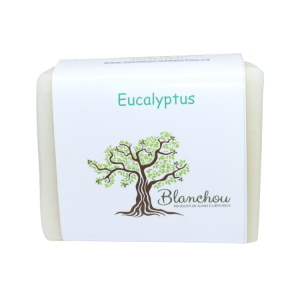 Savon aux huiles essentielles d'eucalyptus