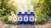Bouteilles de parfum naturel Quiétude 55 ml de La Savonnerie Blanchou, présentées dans un décor champêtre avec camomille, eucalyptus et herbes aromatiques sous une lumière naturelle.