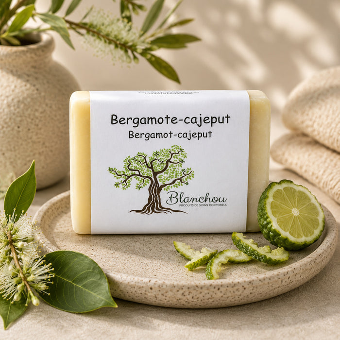 Savon artisanal bergamote et cajeput de La Savonnerie Blanchou présenté dans une ambiance naturelle avec agrumes frais et feuillage apaisant