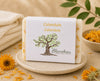 Savon artisanal au calendula Blanchou présenté dans une ambiance naturelle et apaisante