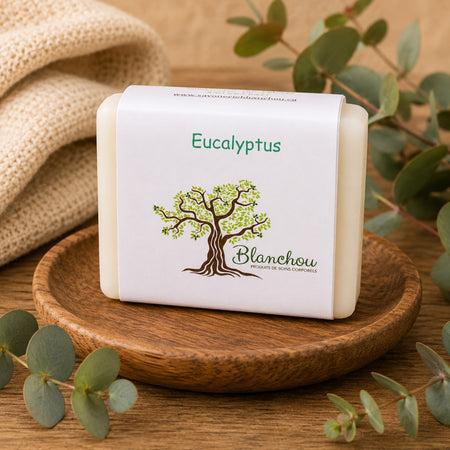 Savon artisanal à l’eucalyptus Blanchou présenté dans une ambiance naturelle et apaisante