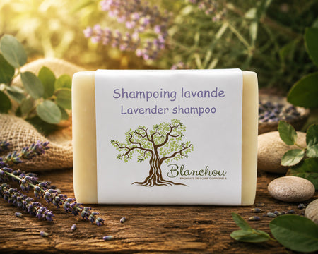Shampoing solide à la lavande de La Savonnerie Blanchou présenté dans une ambiance naturelle chaleureuse avec fleurs de lavande